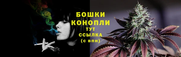 spice Медвежьегорск