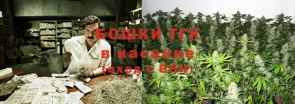 PSILOCYBIN Мегион