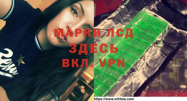 spice Медвежьегорск