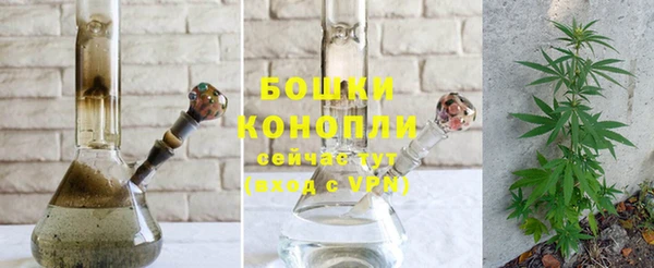 PSILOCYBIN Мегион
