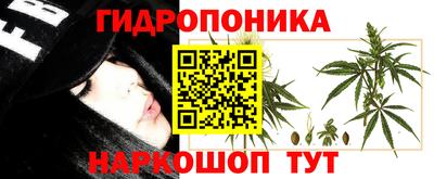 амф Гагарин